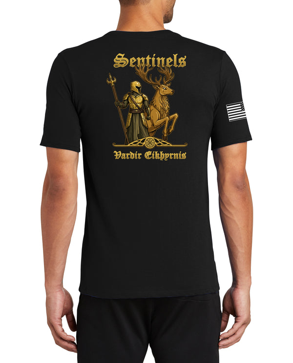 Sentinels Athletic Performance T-Shirt. This shirt IS approved for PT