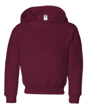 Youth Hoodie