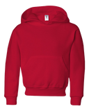 Youth Hoodie